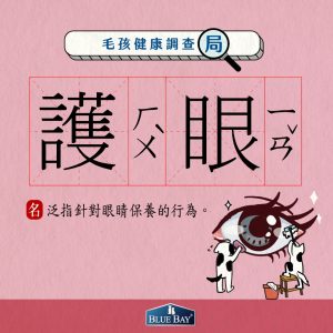 狗狗眼疾5大徵兆，4大營養保持狗狗眼睛明亮