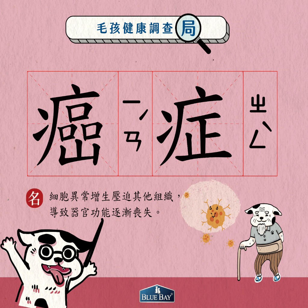 狗狗罹患癌症怎麼辦？遵循三大飲食守則，維持狗狗好活力