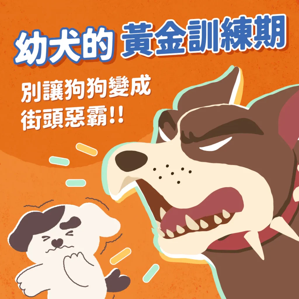 狗狗訓練黃金期