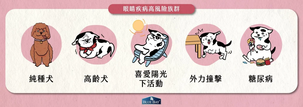 眼睛疾病高風險族群