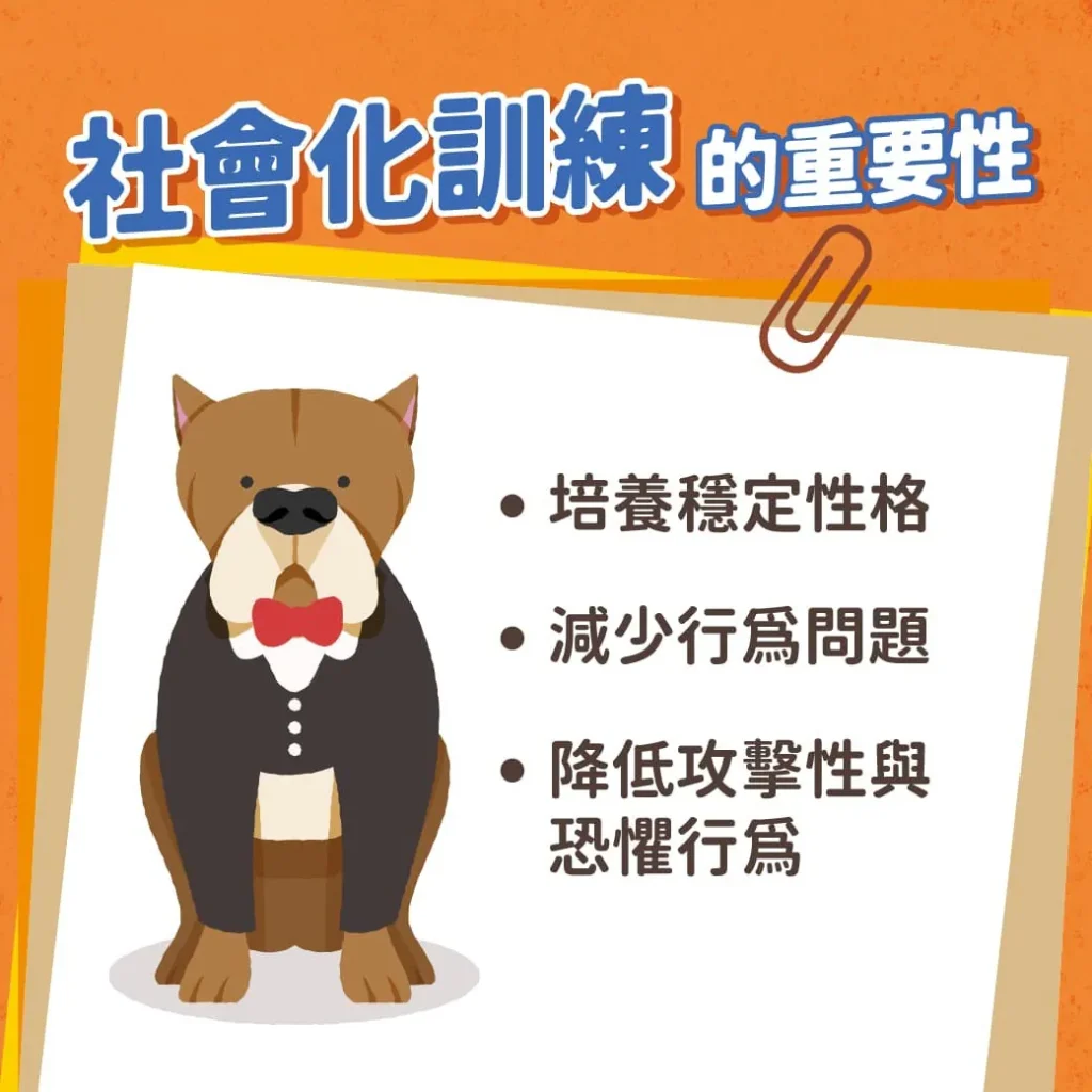 社會化訓練的重要性