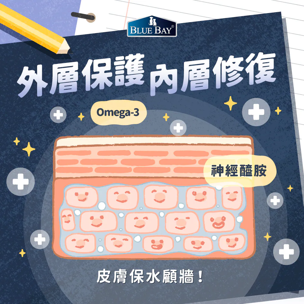 神經醯胺與魚油