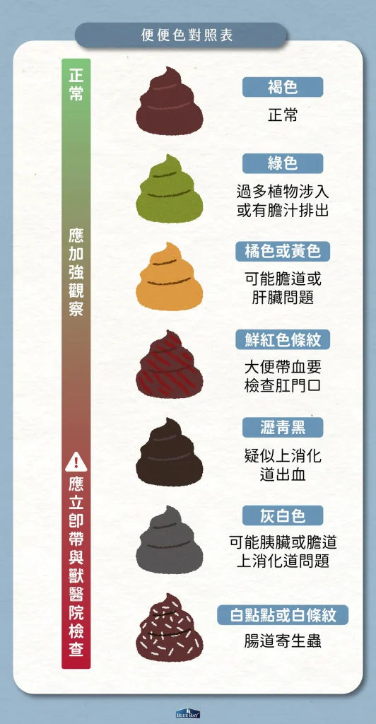 糞便的顏色