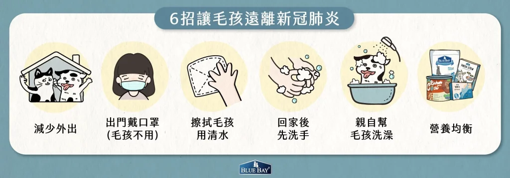 結論：6 招讓毛孩遠離感染新冠肺炎的風險