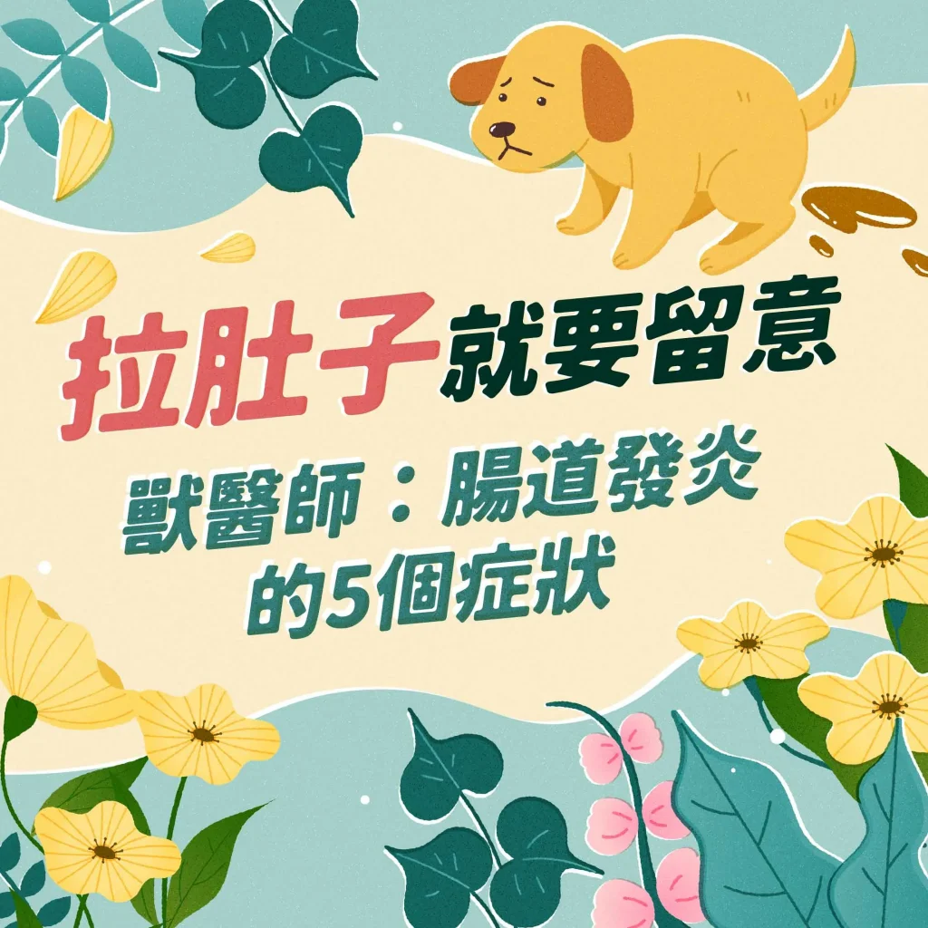 腸道的5個發炎症狀