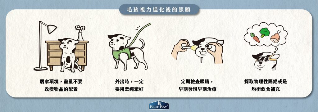 視力退化後的照顧