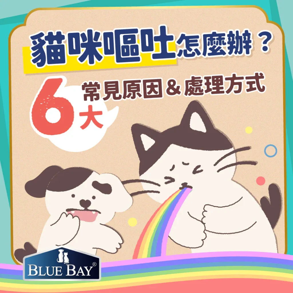 貓咪嘔吐怎麼辦？