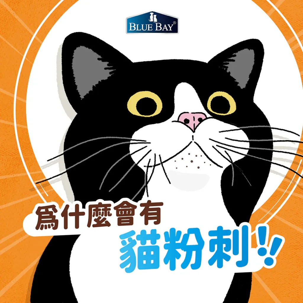 貓咪為什麼會長粉刺