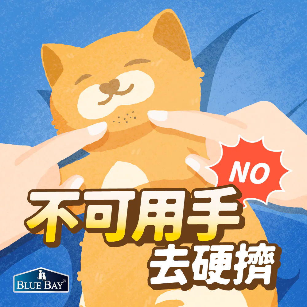 貓粉刺到底能不能擠