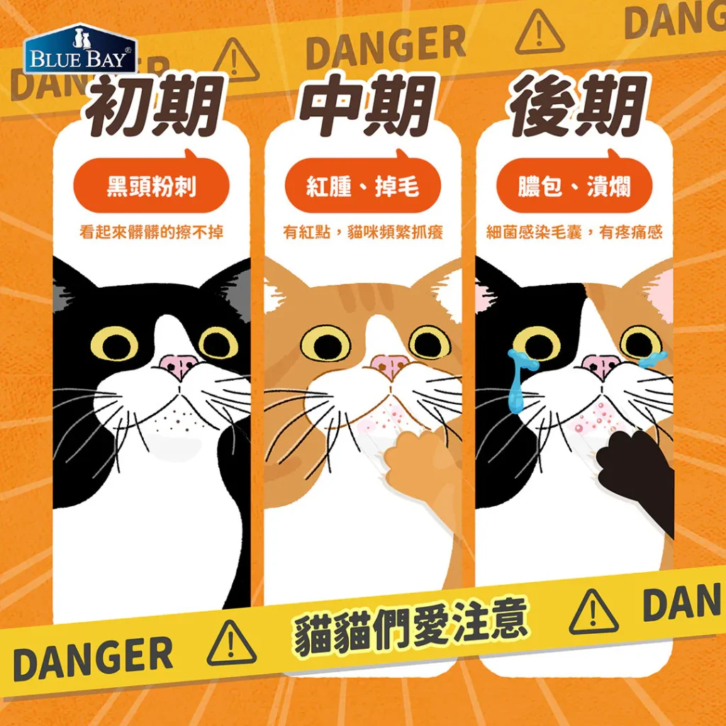 貓粉刺會惡化嗎