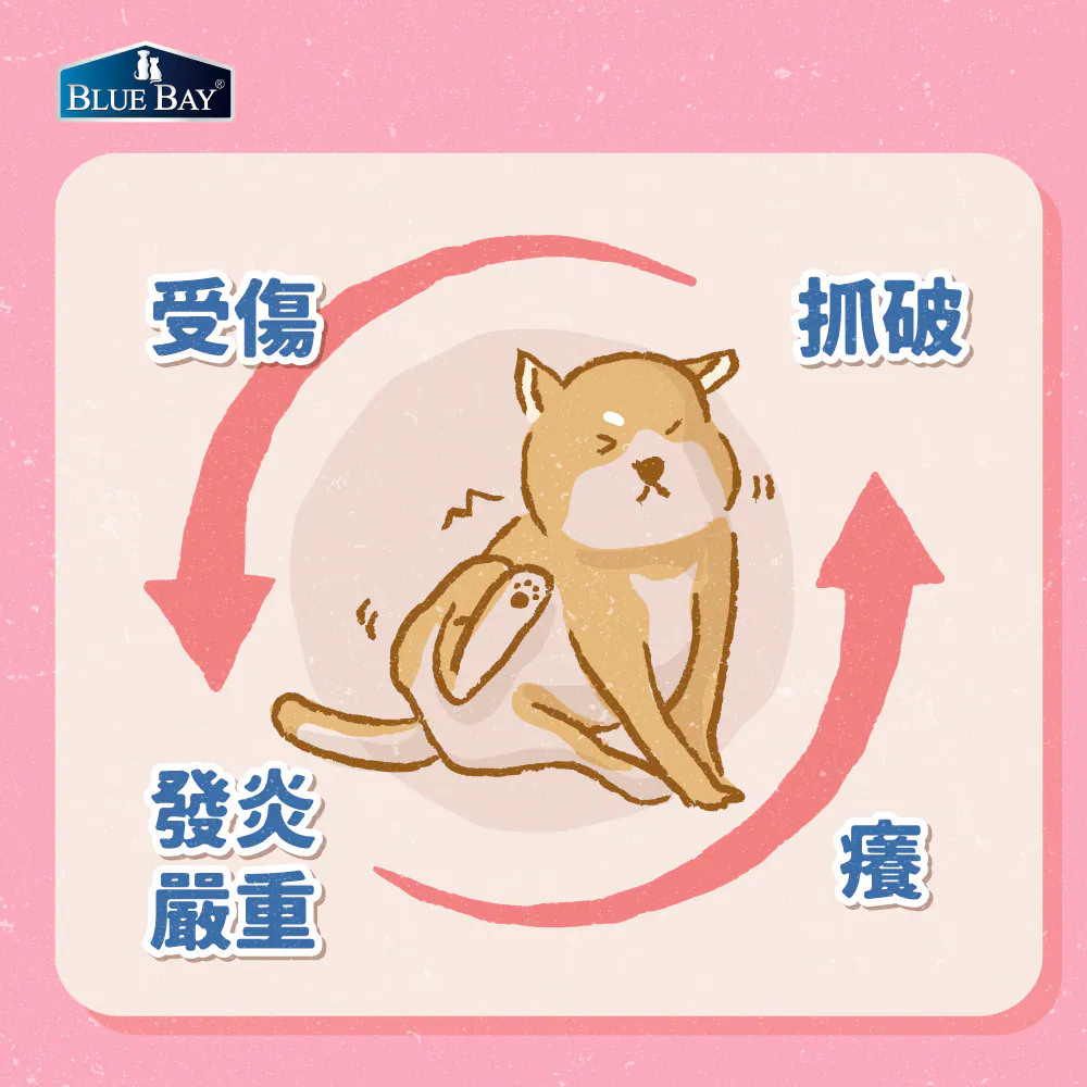 輕微濕疹，也要小心變惡性循環