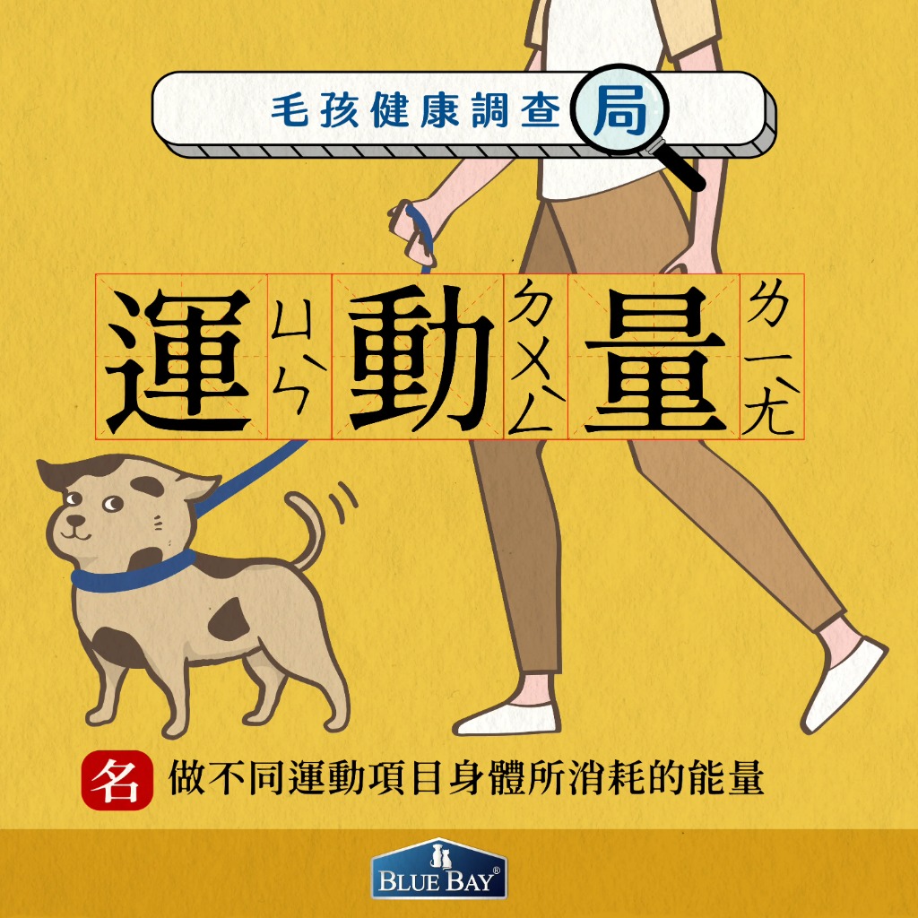 運動能強壯肌肉，但毛孩每天運動多久才夠？