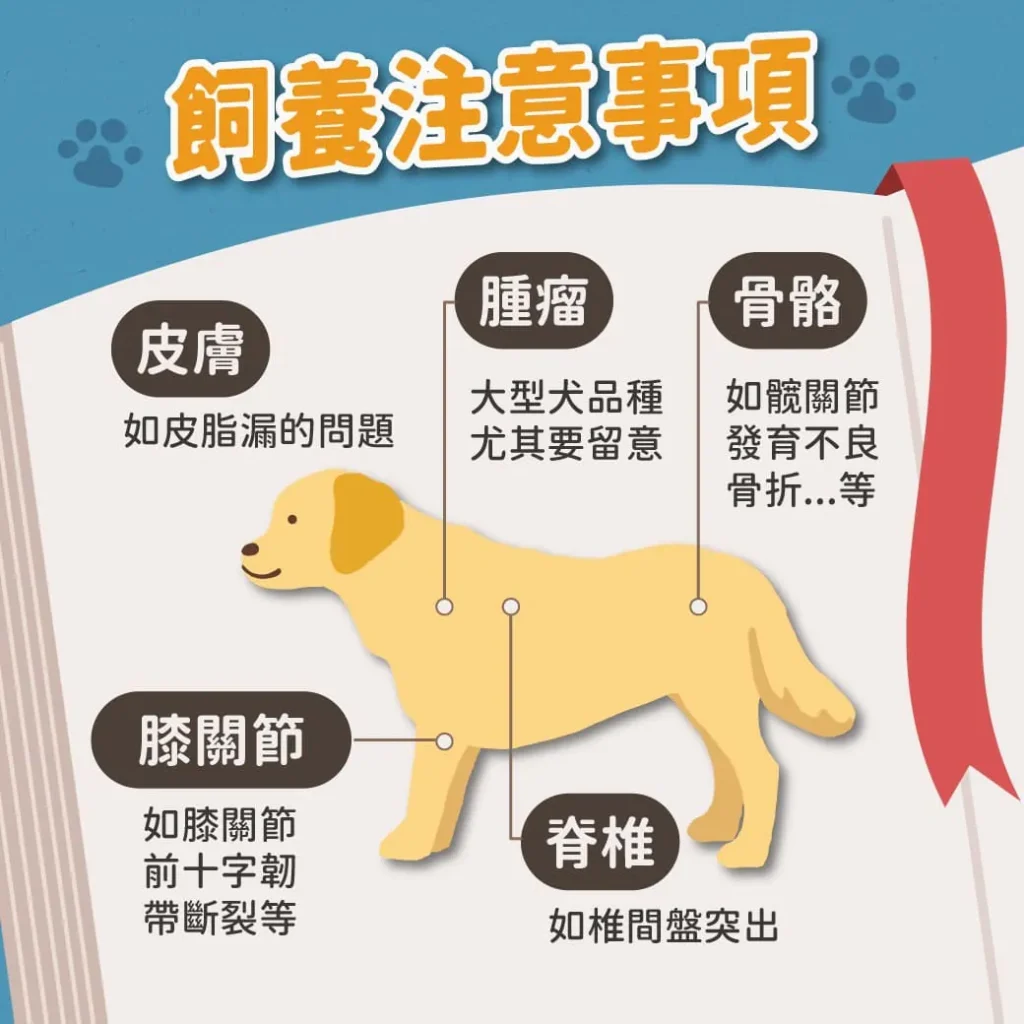 【飼養中大型犬注意事項】