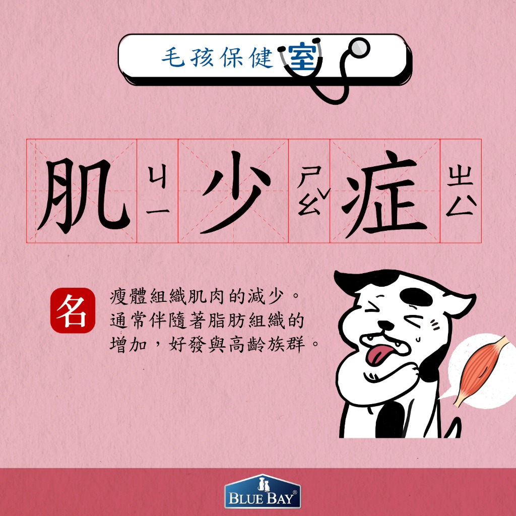 高齡犬貓罹患肌少症4大徵兆