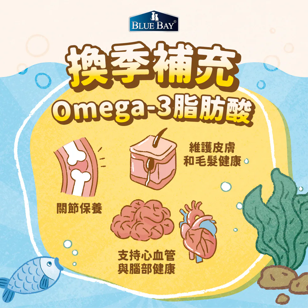 魚油功效有哪些