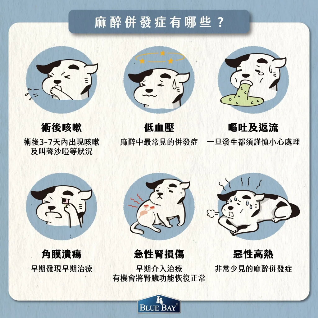 【做了術前檢查就絕對安全嗎？麻醉併發症有哪些？】