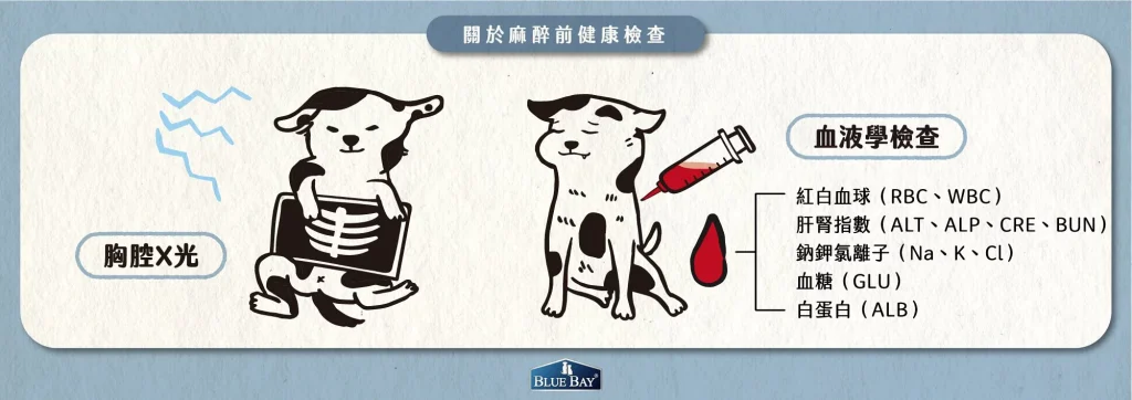 【關於麻醉前檢查的項目琳瑯滿目，我到底該做哪些呢？】