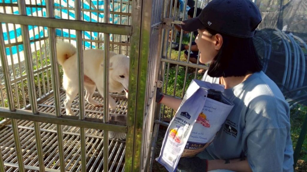 圖說/除了送達必要物資，倍力團隊也協助餵食狗園的浪狗浪貓，幫忙清理大雨後的泥濘環境。（資料來源：柴犬聯盟）