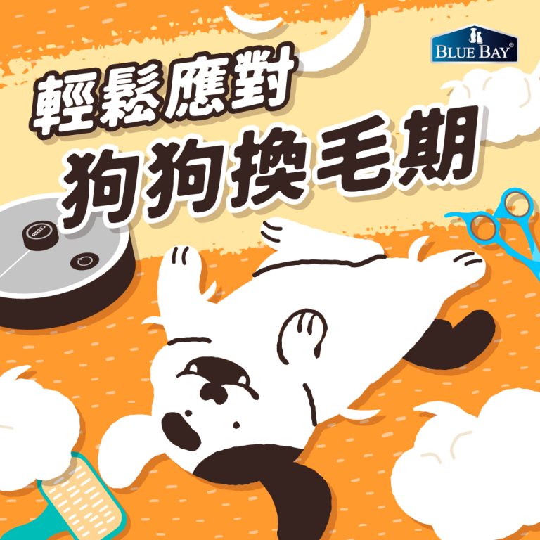 狗狗掉毛