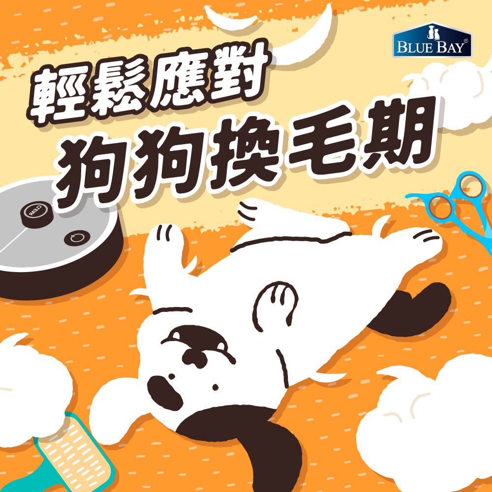 狗狗掉毛