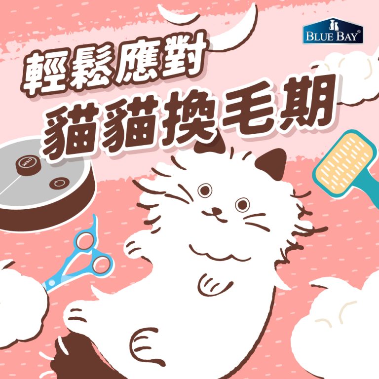 輕鬆應對貓貓換毛期