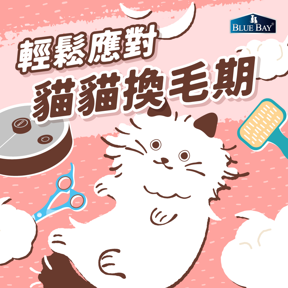 輕鬆應對貓貓換毛期