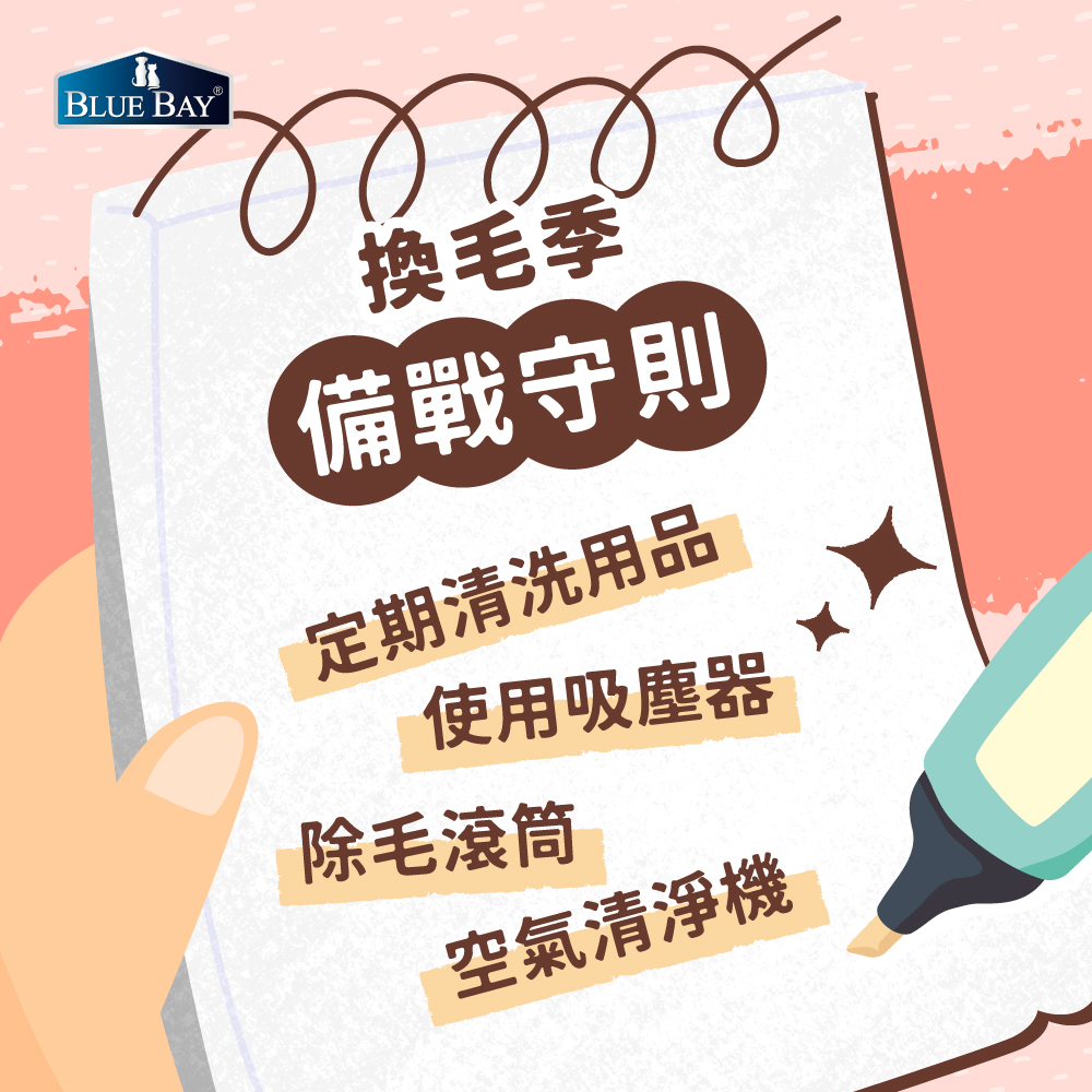 貓咪換毛季,貓咪換毛清理