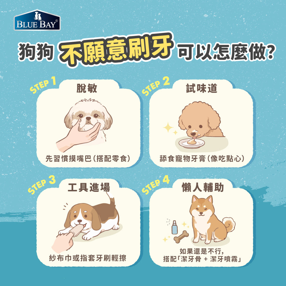 狗狗不願意刷牙，可以怎麼做？