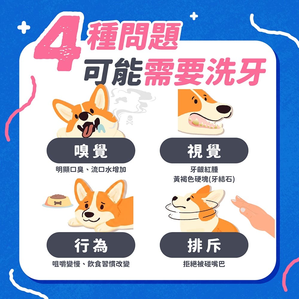 狗狗什麼情況需要洗牙？