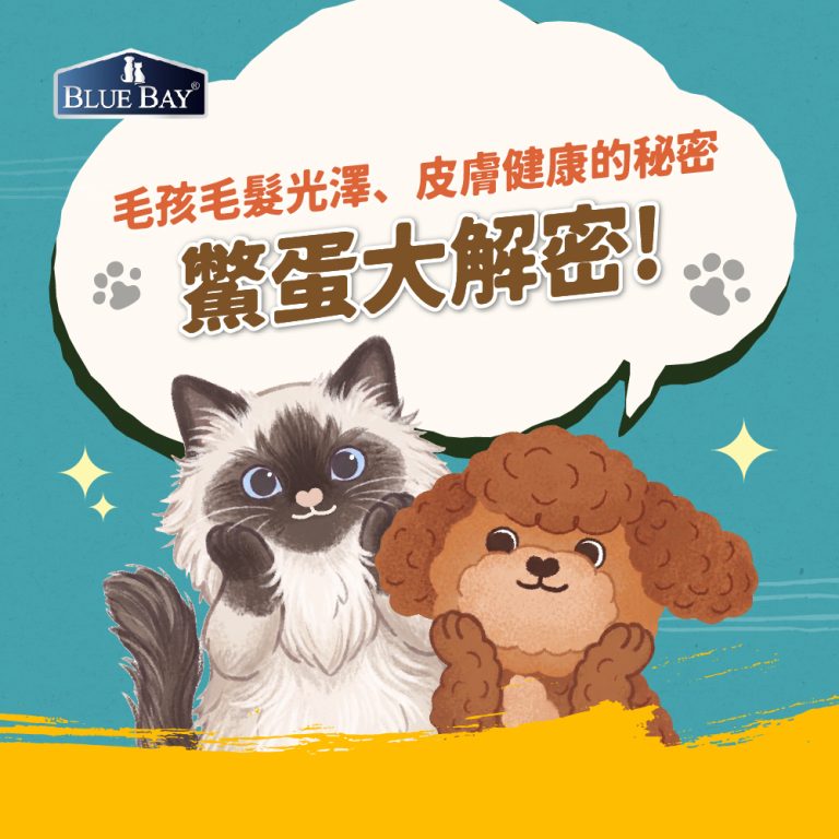 鱉蛋到底有多補