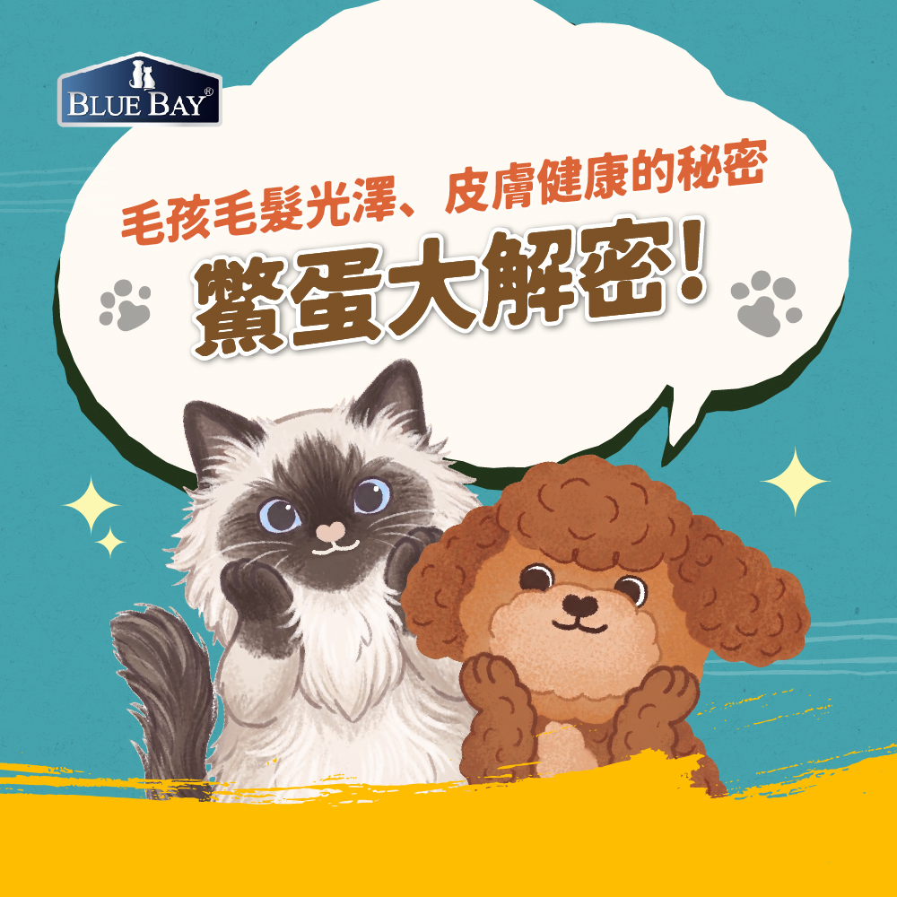 鱉蛋到底有多補