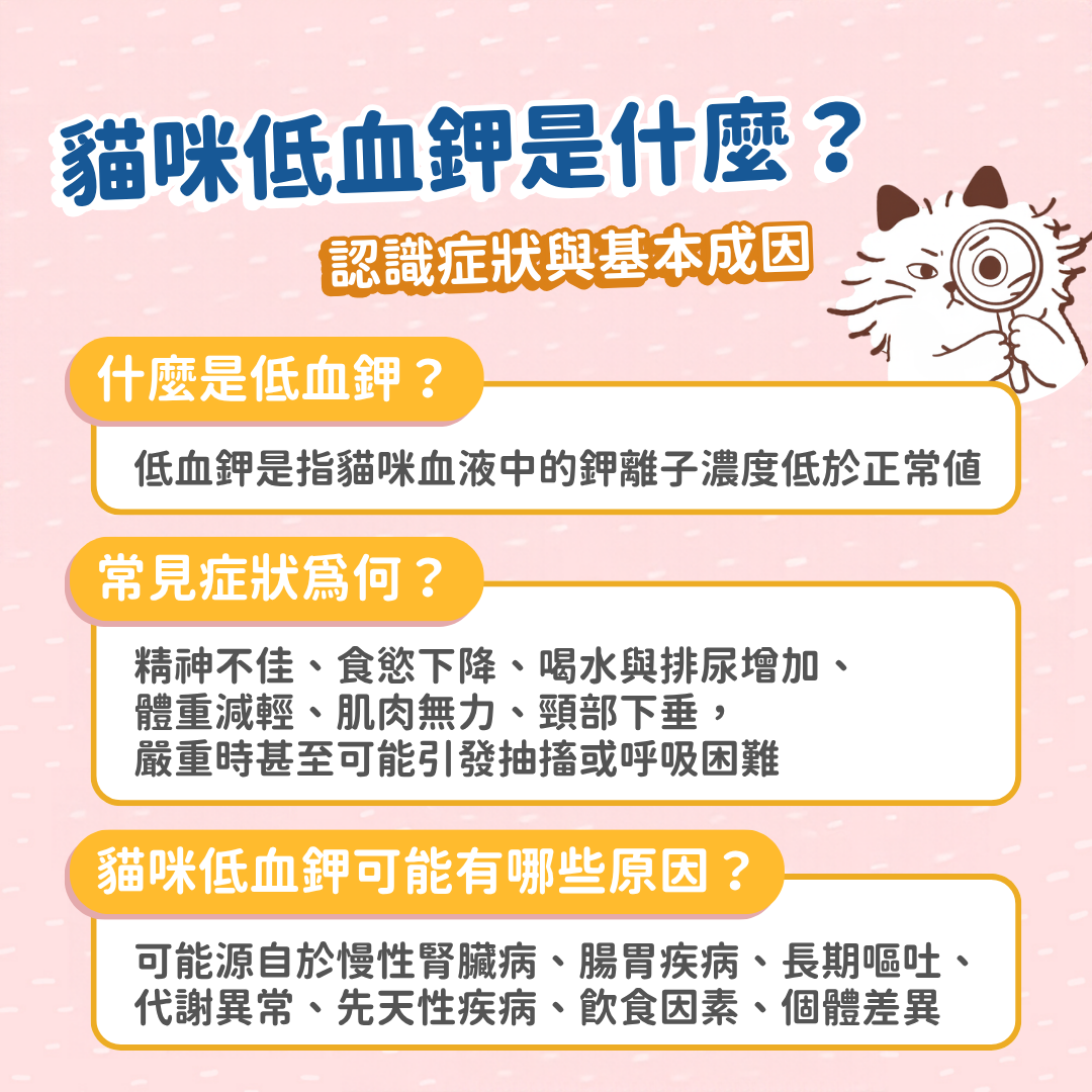 貓咪低血鉀是什麼